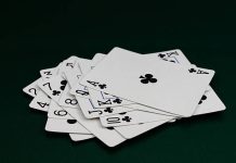 cricbet99 club is becoming the go-to spot for online betting fans lately cricbet99 link