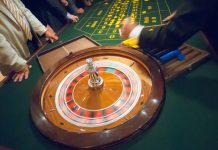 A Beginner’s Guide to Using 99 Exchange for Cricket Betting www.99exch.org